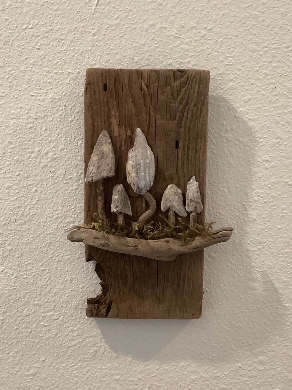 Driftwood Art , Driftwood Mushrooms, Mushroom Art, Driftwood Coastal Decor